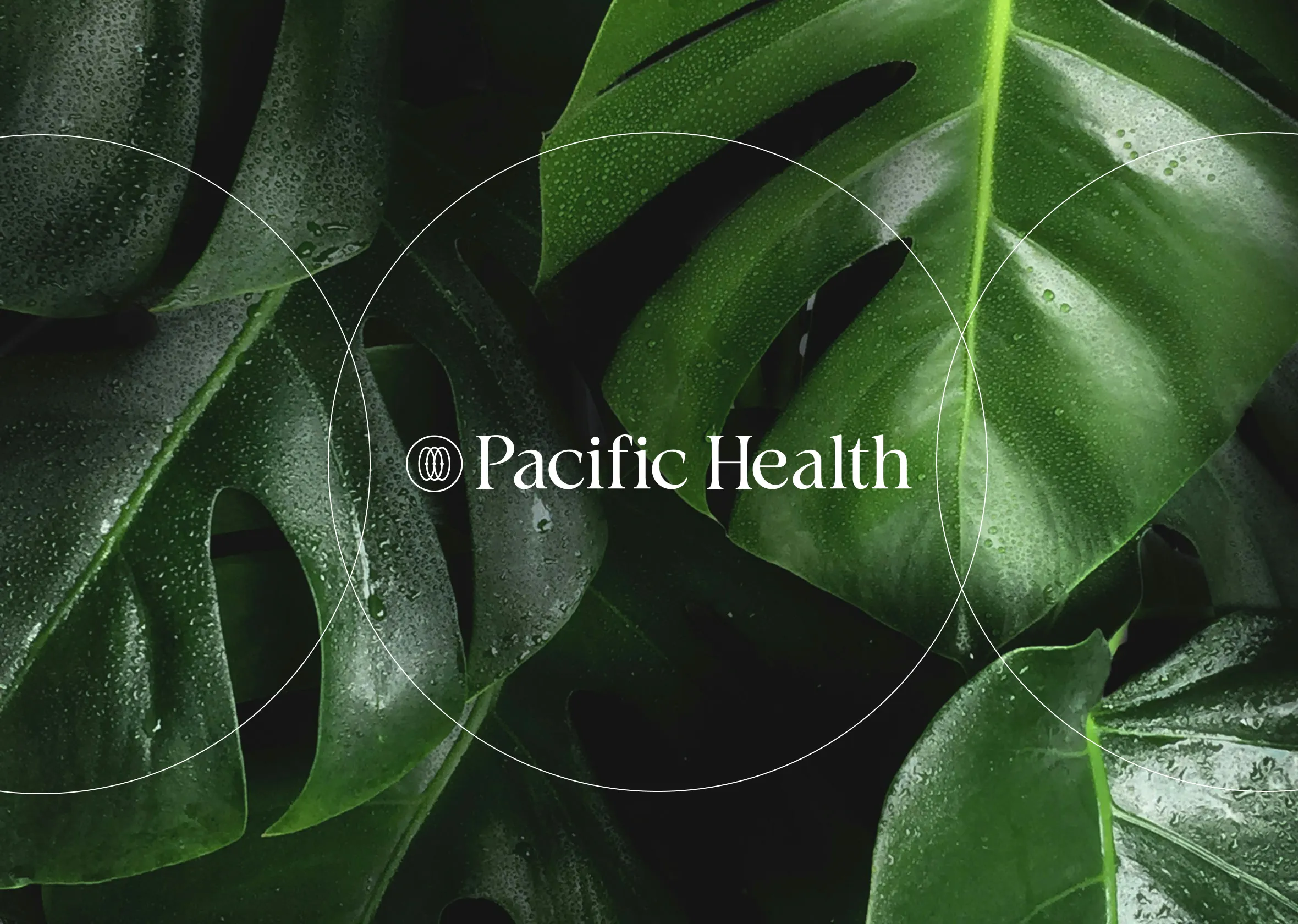 The Pacific Health wordmark over wet green leaves.